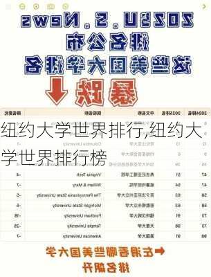 纽约大学世界排行,纽约大学世界排行榜