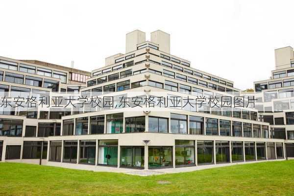 东安格利亚大学校园,东安格利亚大学校园图片