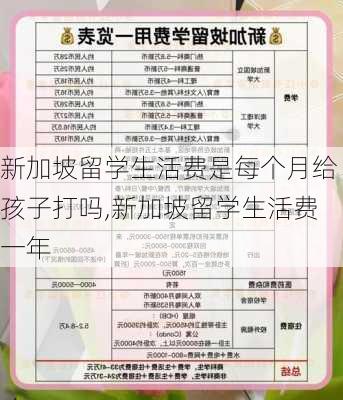 新加坡留学生活费是每个月给孩子打吗,新加坡留学生活费一年