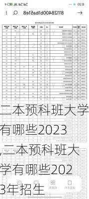 二本预科班大学有哪些2023,二本预科班大学有哪些2023年招生