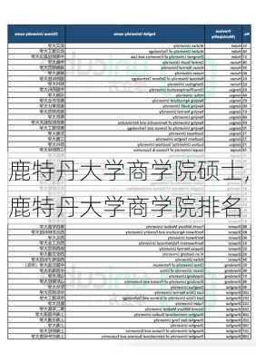 鹿特丹大学商学院硕士,鹿特丹大学商学院排名