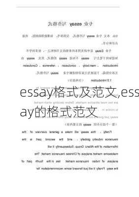 essay格式及范文,essay的格式范文