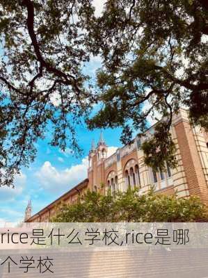 rice是什么学校,rice是哪个学校