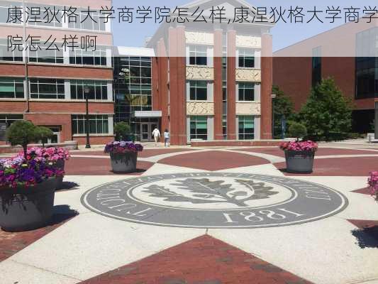 康涅狄格大学商学院怎么样,康涅狄格大学商学院怎么样啊