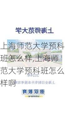 上海师范大学预科班怎么样,上海师范大学预科班怎么样啊