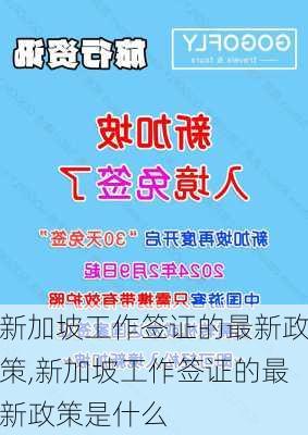 新加坡工作签证的最新政策,新加坡工作签证的最新政策是什么