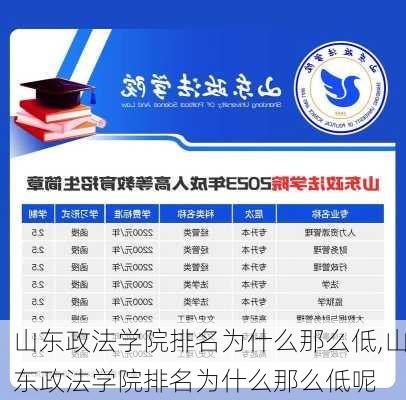 山东政法学院排名为什么那么低,山东政法学院排名为什么那么低呢