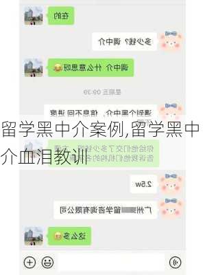 留学黑中介案例,留学黑中介血泪教训