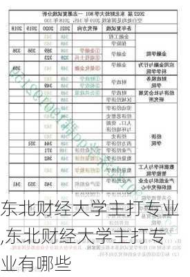 东北财经大学主打专业,东北财经大学主打专业有哪些