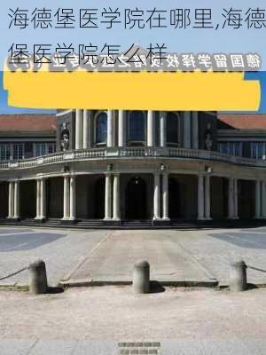 海德堡医学院在哪里,海德堡医学院怎么样