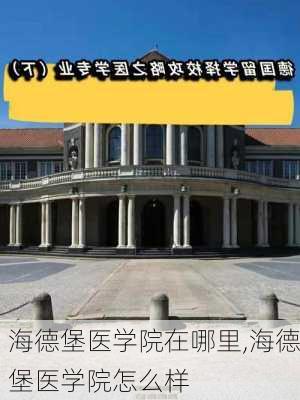 海德堡医学院在哪里,海德堡医学院怎么样