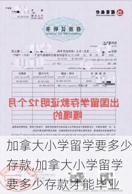 加拿大小学留学要多少存款,加拿大小学留学要多少存款才能毕业