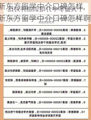 新东方留学中介口碑怎样,新东方留学中介口碑怎样啊