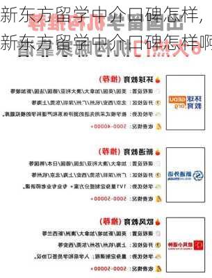 新东方留学中介口碑怎样,新东方留学中介口碑怎样啊