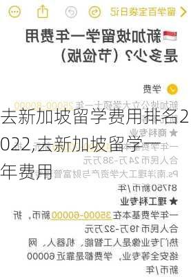 去新加坡留学费用排名2022,去新加坡留学一年费用