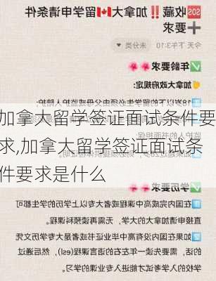 加拿大留学签证面试条件要求,加拿大留学签证面试条件要求是什么