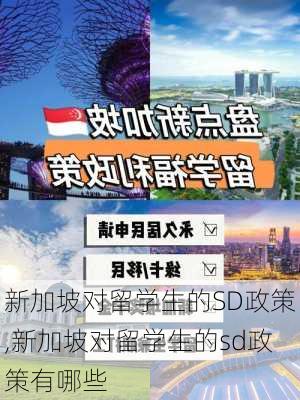 新加坡对留学生的SD政策,新加坡对留学生的sd政策有哪些