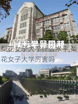 梨花女子大学什么水平,梨花女子大学厉害吗