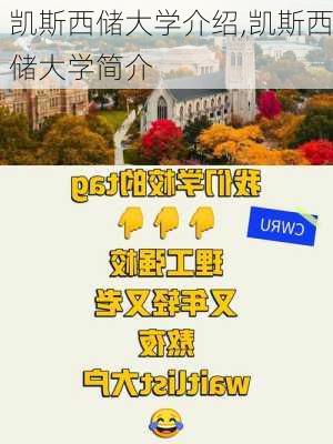 凯斯西储大学介绍,凯斯西储大学简介