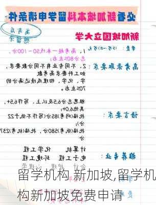 留学机构 新加坡,留学机构新加坡免费申请