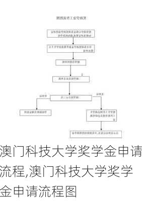 澳门科技大学奖学金申请流程,澳门科技大学奖学金申请流程图