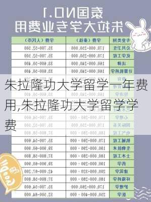 朱拉隆功大学留学一年费用,朱拉隆功大学留学学费