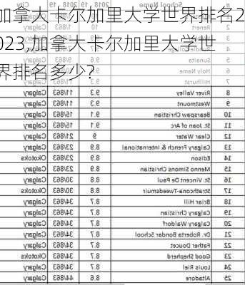 加拿大卡尔加里大学世界排名2023,加拿大卡尔加里大学世界排名多少?