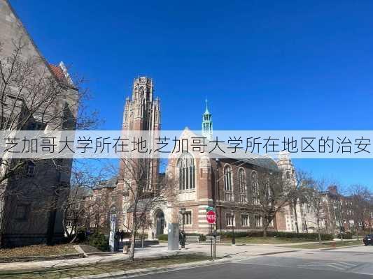 芝加哥大学所在地,芝加哥大学所在地区的治安