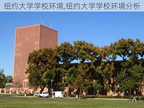 纽约大学学校环境,纽约大学学校环境分析