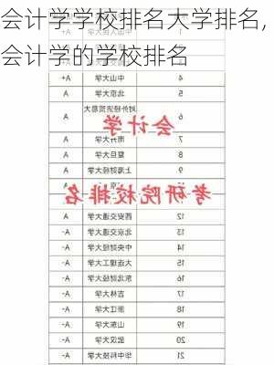 会计学学校排名大学排名,会计学的学校排名