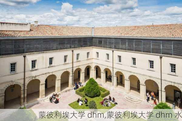 蒙彼利埃大学 dhm,蒙彼利埃大学 dhm 水