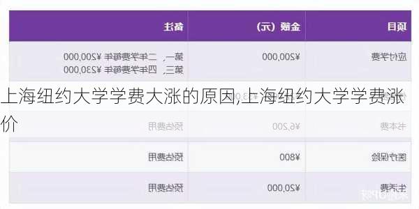 上海纽约大学学费大涨的原因,上海纽约大学学费涨价