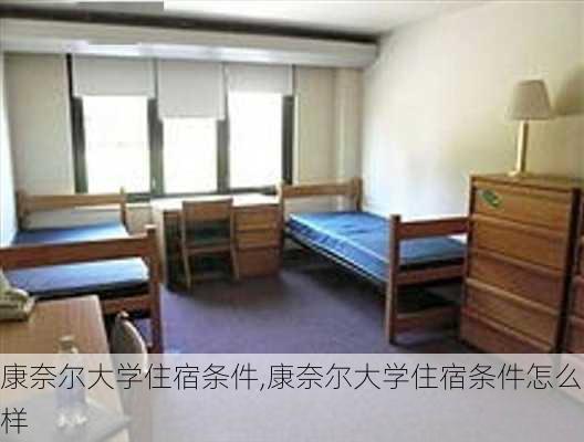 康奈尔大学住宿条件,康奈尔大学住宿条件怎么样