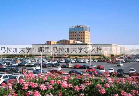 马拉加大学在哪里,马拉加大学怎么样