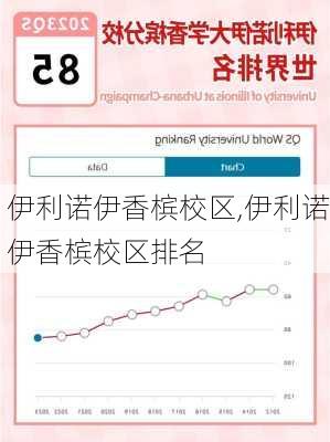 伊利诺伊香槟校区,伊利诺伊香槟校区排名