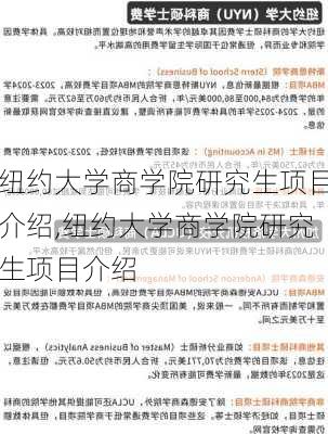 纽约大学商学院研究生项目介绍,纽约大学商学院研究生项目介绍