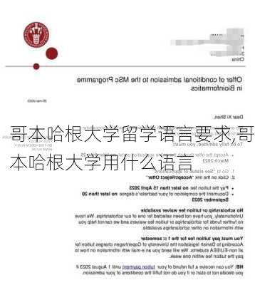 哥本哈根大学留学语言要求,哥本哈根大学用什么语言