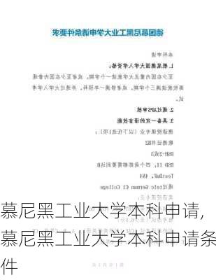 慕尼黑工业大学本科申请,慕尼黑工业大学本科申请条件