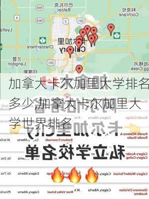 加拿大卡尔加里大学排名多少,加拿大卡尔加里大学世界排名