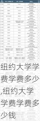 纽约大学学费学费多少,纽约大学学费学费多少钱