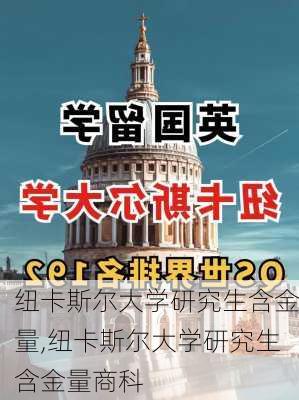 纽卡斯尔大学研究生含金量,纽卡斯尔大学研究生含金量商科