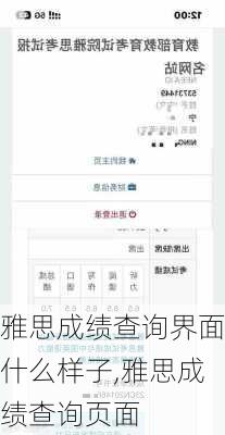 雅思成绩查询界面什么样子,雅思成绩查询页面