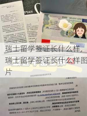 瑞士留学签证长什么样,瑞士留学签证长什么样图片