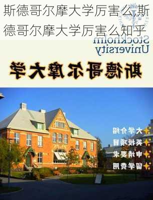 斯德哥尔摩大学厉害么,斯德哥尔摩大学厉害么知乎