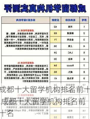 成都十大留学机构排名前十,成都十大留学机构排名前十名