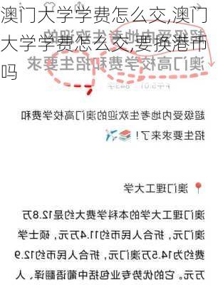 澳门大学学费怎么交,澳门大学学费怎么交,要换港币吗