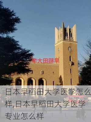 日本早稻田大学医学怎么样,日本早稻田大学医学专业怎么样