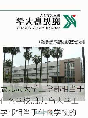 鹿儿岛大学工学部相当于什么学校,鹿儿岛大学工学部相当于什么学校的