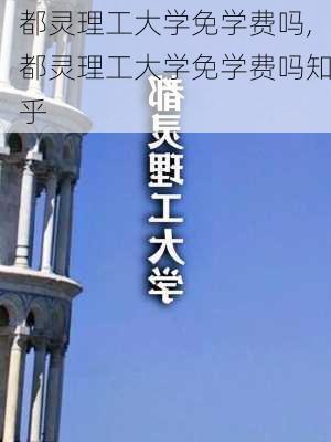 都灵理工大学免学费吗,都灵理工大学免学费吗知乎