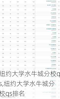 纽约大学水牛城分校qs,纽约大学水牛城分校qs排名